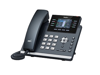 Yealink SIP-T44W